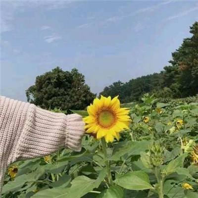 百战豪情官方版下载