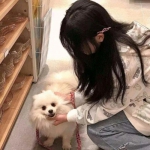 问鼎六道手游